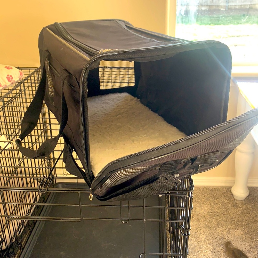 Pet Carrier